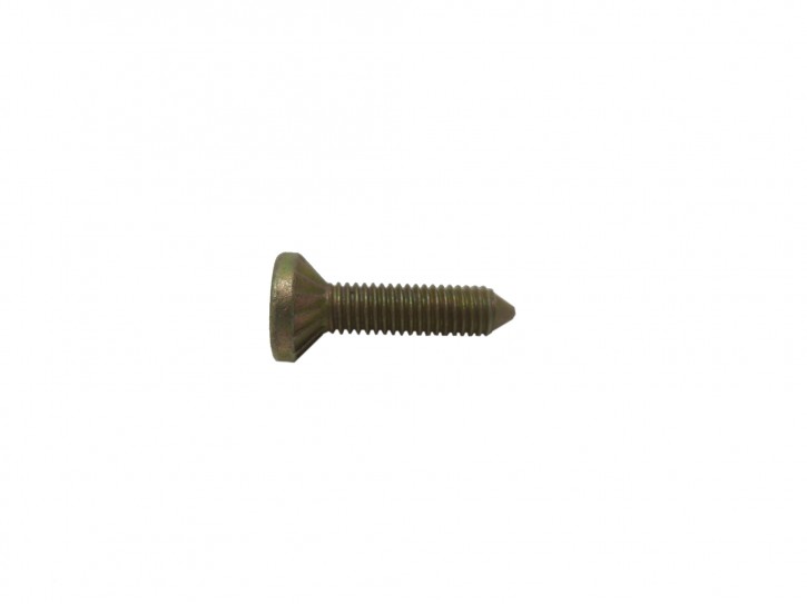 screw  for door  articulation