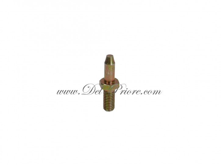 centering screw for brake disk