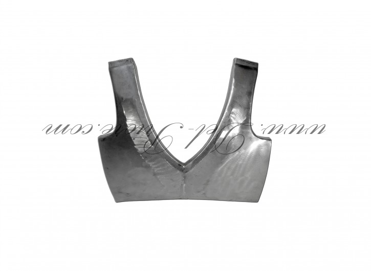 lower repair plate for front plate, middle