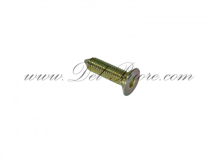fixation screw for door