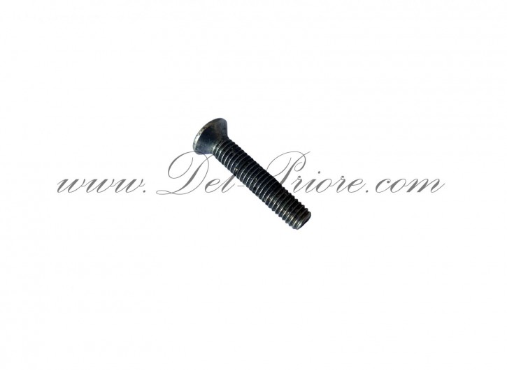 chrome screw