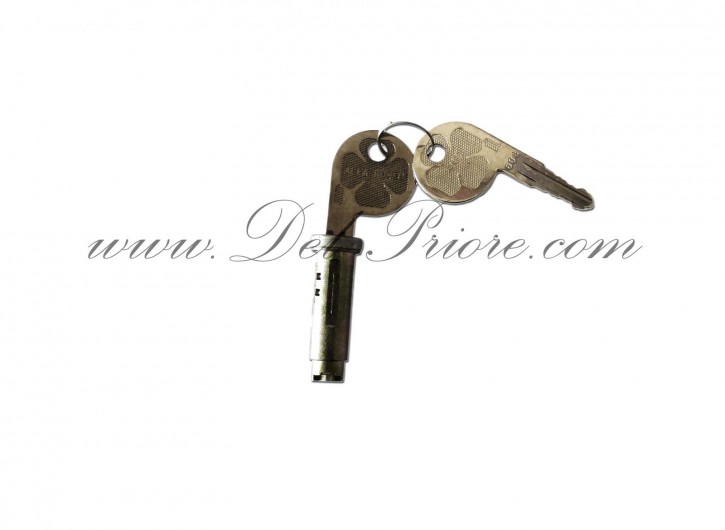 cilindro porta con chiave