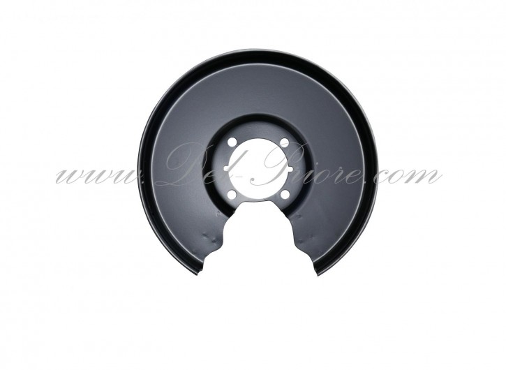 protective plate for rear brake disc