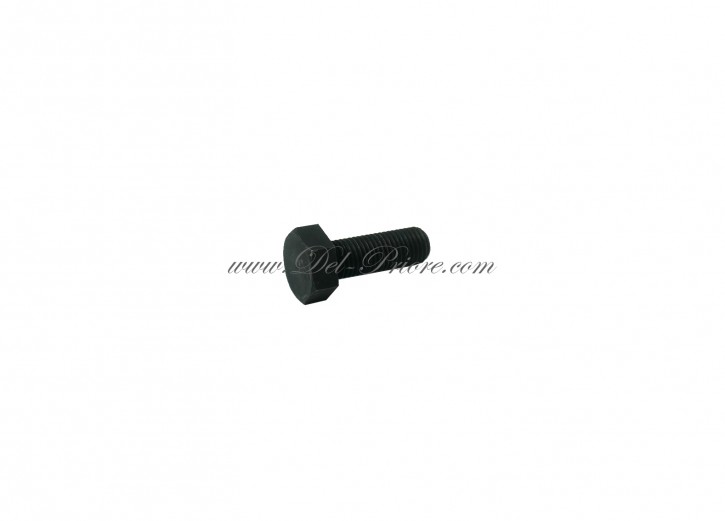 fastening screw for brake caliper