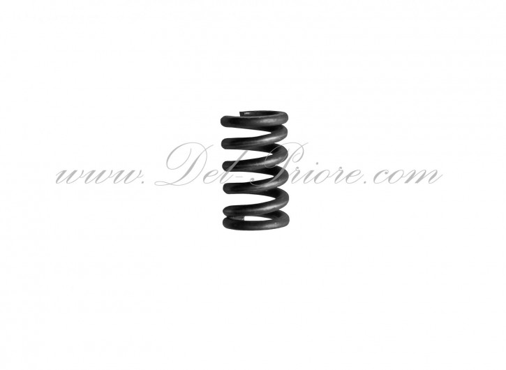 spring for brake shoe center