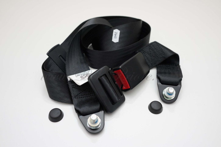 cintura di sicurezza nero (2-punti-statico)