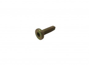 screw  for door  articulation
