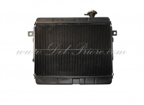 radiator 1979-1982