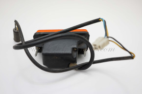 Blinker vorn links oder rechts 75 -82