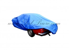 copertura vetture blu 